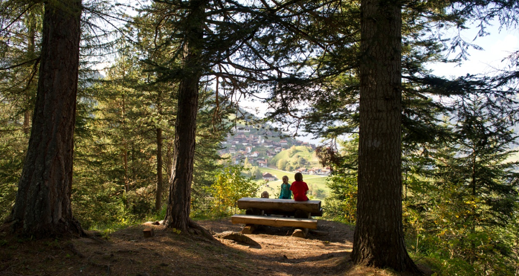 Feuerstelle Fuxäbödeli Feuerstelle Fuxäbödeli