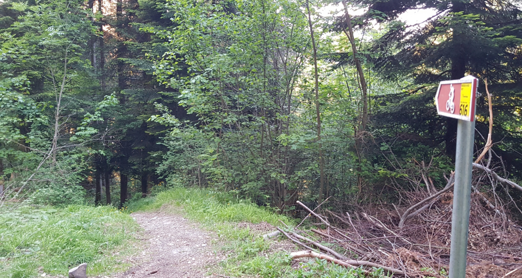 Traileinstieg unterer Abschnitt