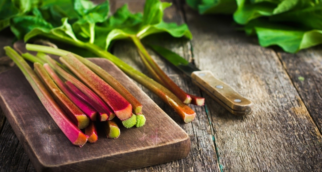 rezept_goetterspeise-mit-rhabarber