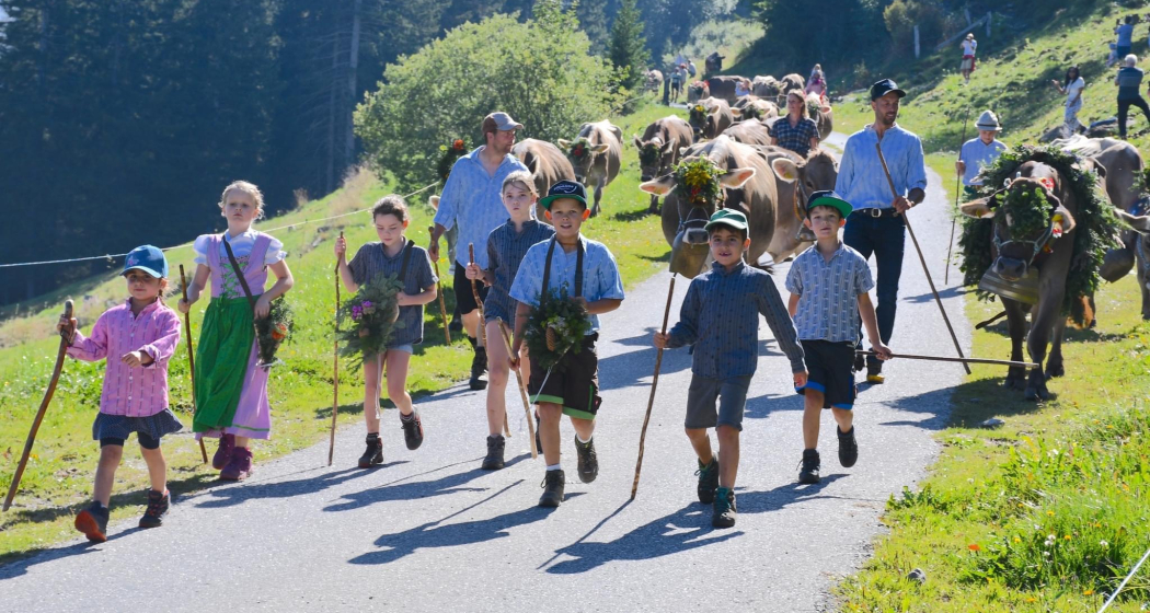 Alpabzug Tschiertschen 2023 Alpabzug Tschiertschen 2023
