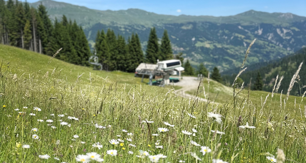 Bergbahnen Sommer