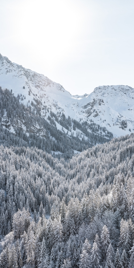 natur_winter_weisshorn_suse-heinz