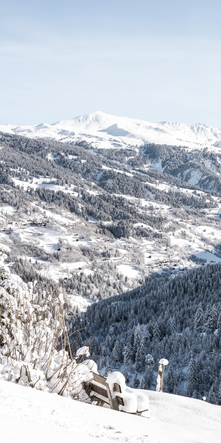 tschiertschen_natur_winter_bank-mit-panoramablick_suse-heinz