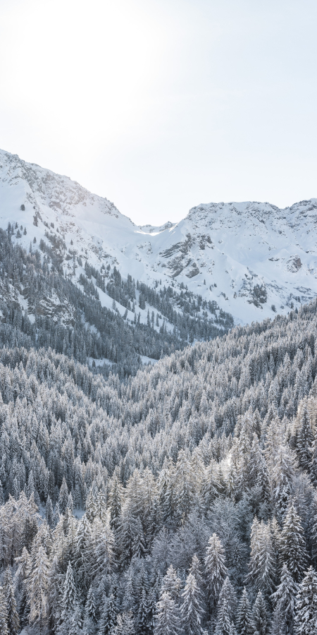 Verschneite Winterlandschaft / Bild: Suse Heinz