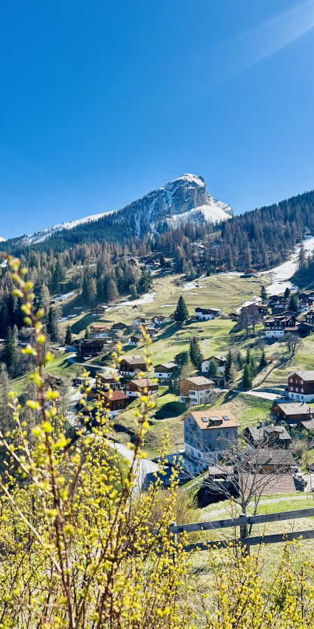 Frühling Büel Tschiertschen