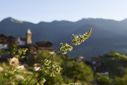 dorf_panorama_sommer_ninamattli_02