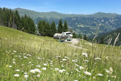 Bergbahnen Sommer