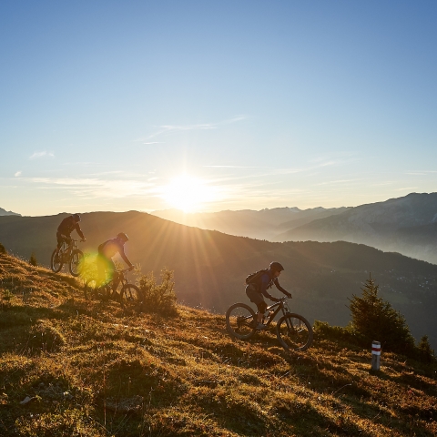 mountainbiken_tschiertschen_nina-mattli