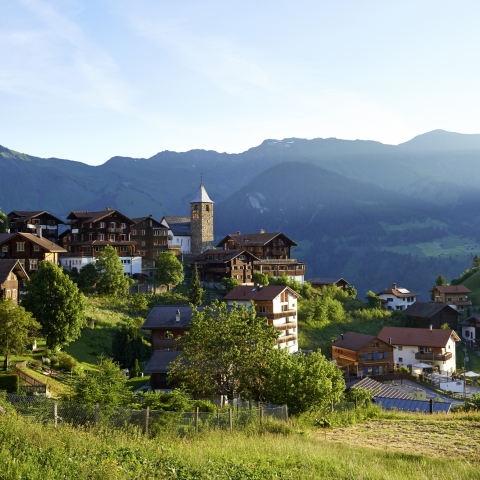 dorf_panorama_sommer_ninamattli_01