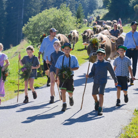 Alpabzug Tschiertschen 2023 Alpabzug Tschiertschen 2023