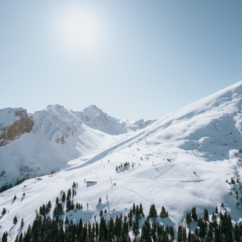 Skigebiet Tschiertschen BBT