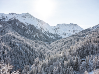 natur_winter_weisshorn_suse-heinz