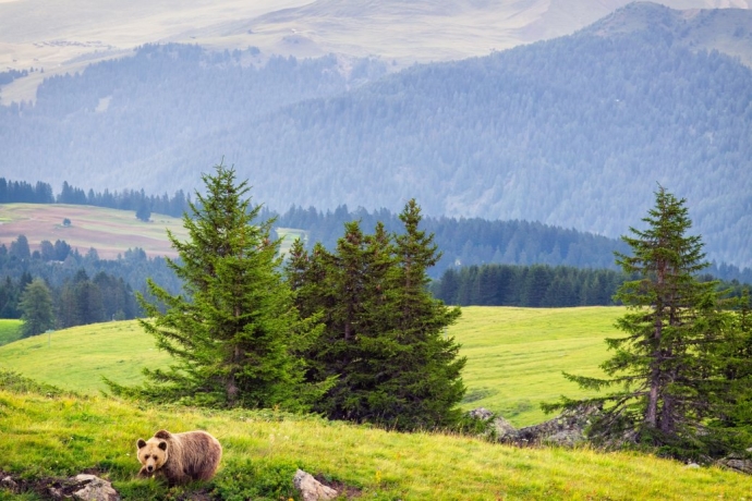 arosa_baerenland_nina-mattli