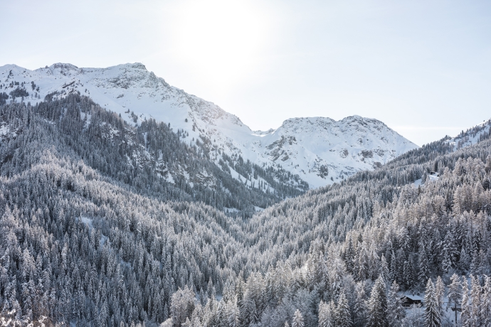 Verschneite Winterlandschaft / Bild: Suse Heinz