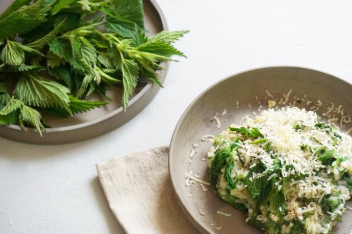 rezept_brennessel-risotto
