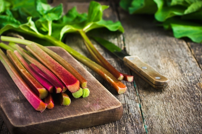 rezept_goetterspeise-mit-rhabarber