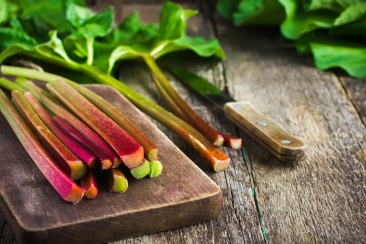 rezept_goetterspeise-mit-rhabarber