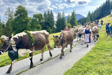 Alpabzug 2025 Tschiertschen